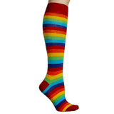 Rainbow Knee High Socks Modeled