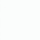 Solid Colour Tabi Socks White